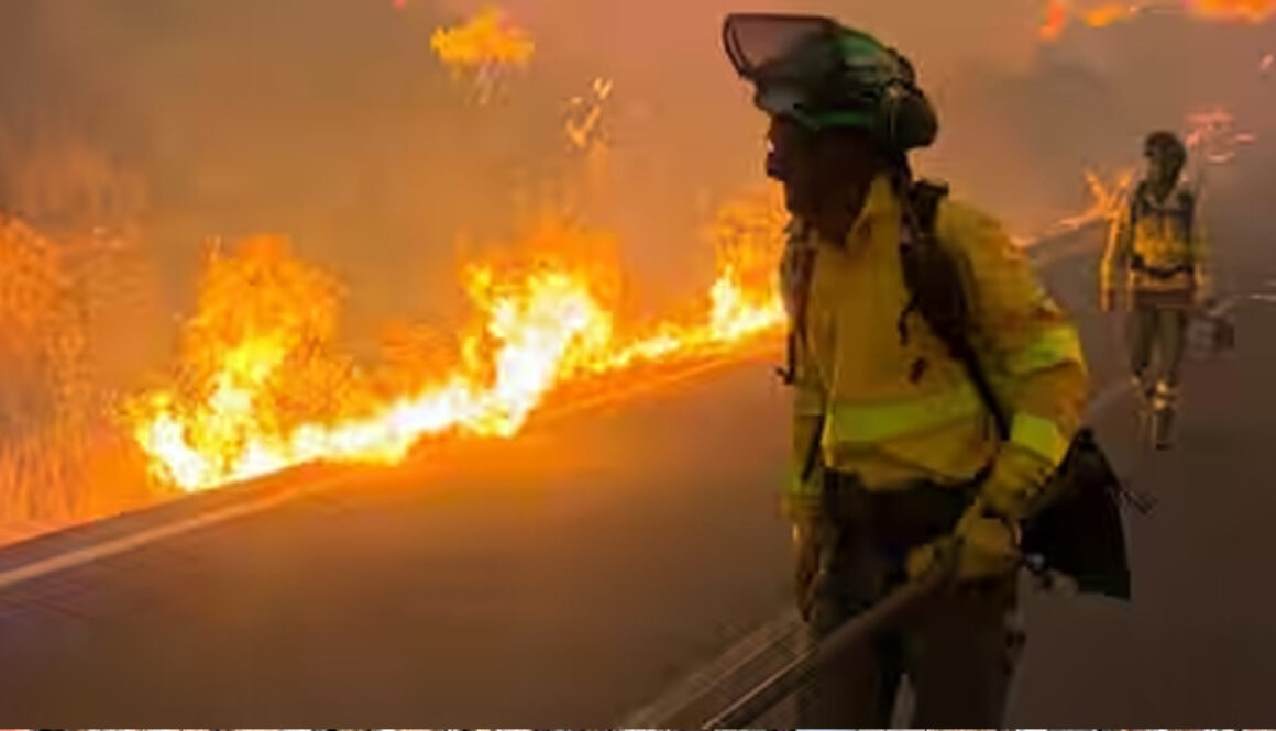 franc fire