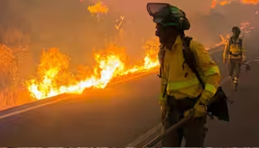 franc fire