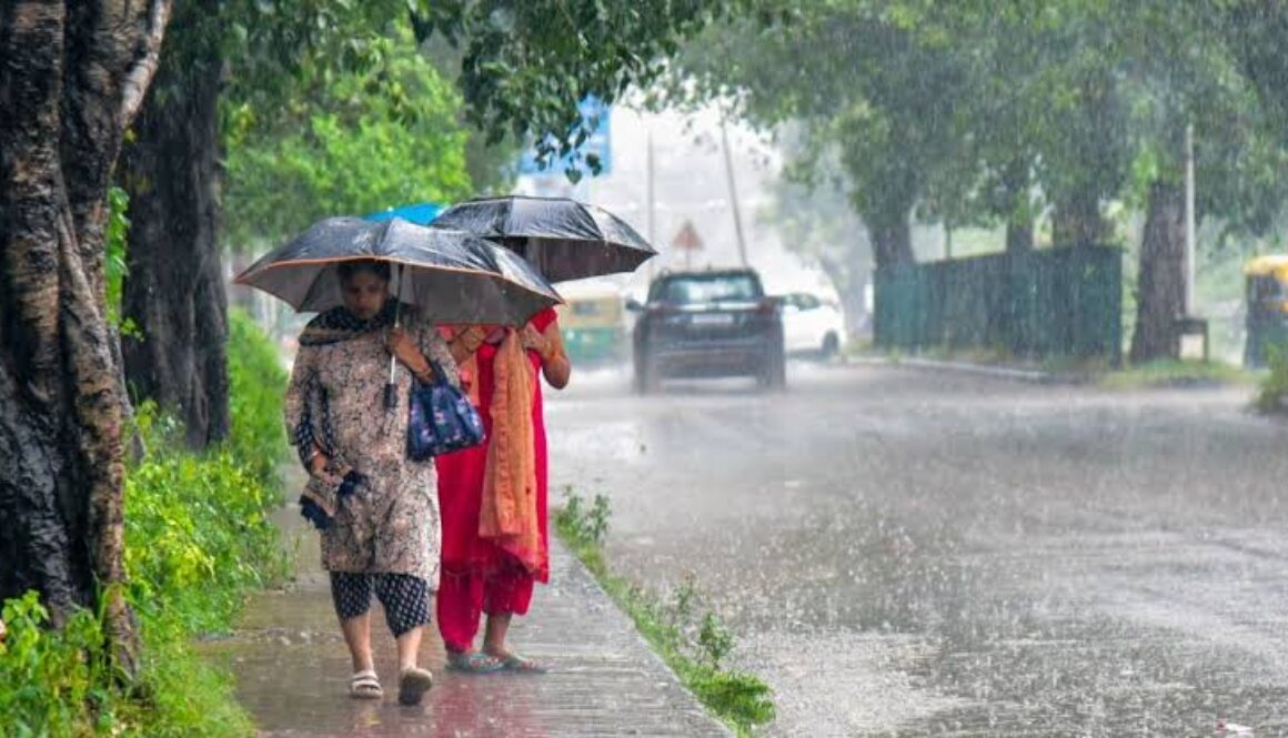 harvy rain punjab