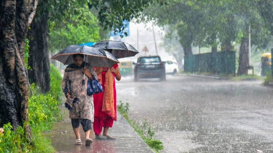 harvy rain punjab