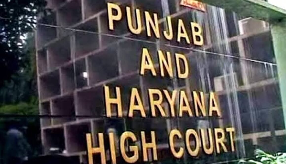 high court