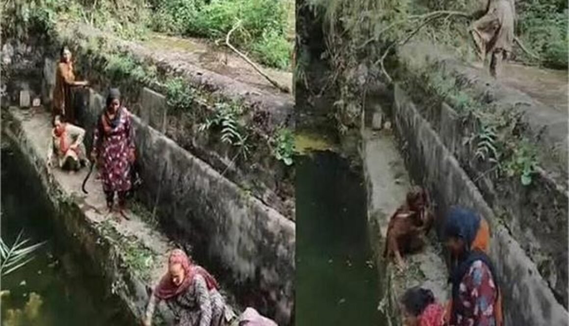himachal water
