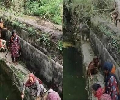 himachal water