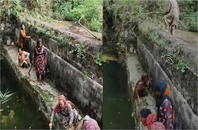 himachal water