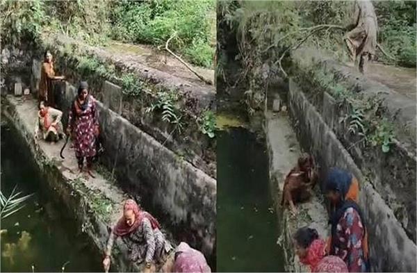 Himachal Pradesh: 236 traditional water sources cleaned in Hamirpur