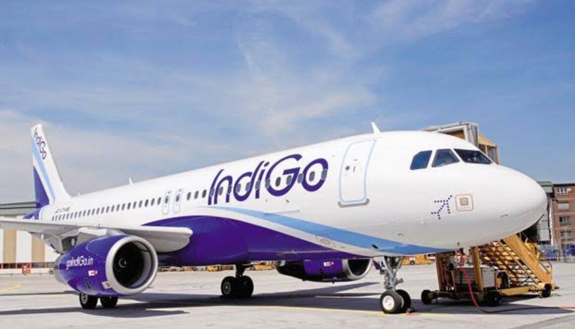indigo