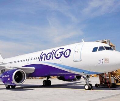 indigo