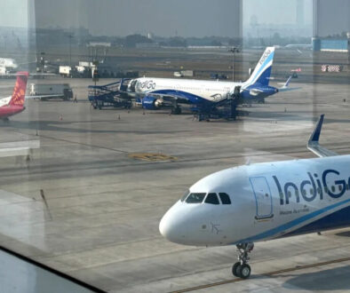 indigo copy