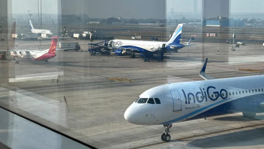 indigo copy