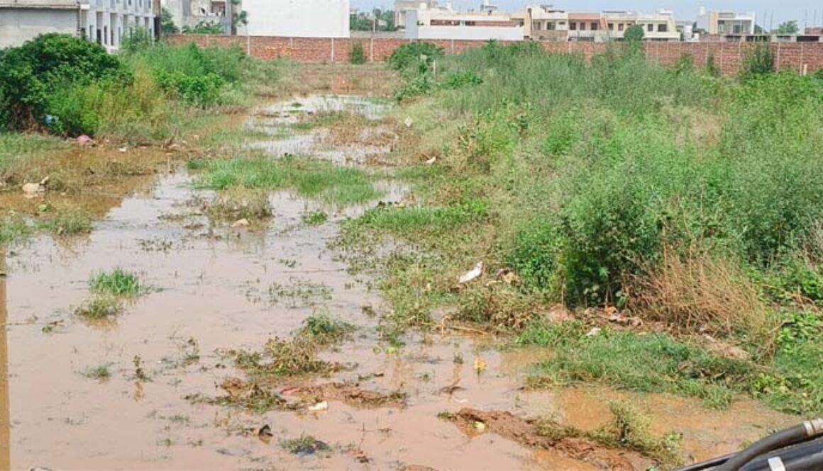 jalandhar bann