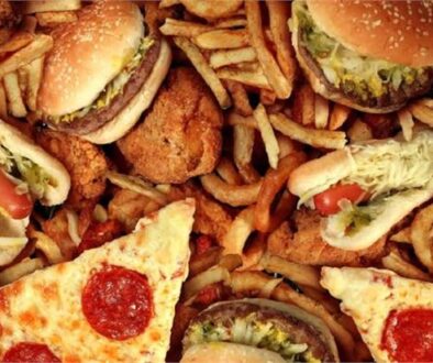junk food burger