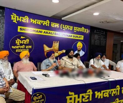 punar surjit