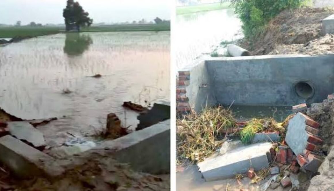 rajwaha parh