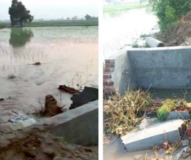 rajwaha parh
