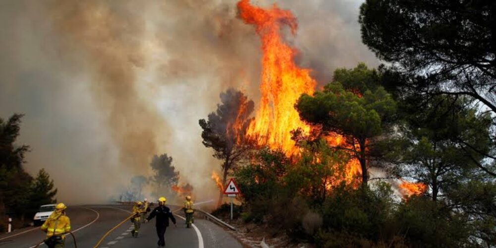 spain forest fire