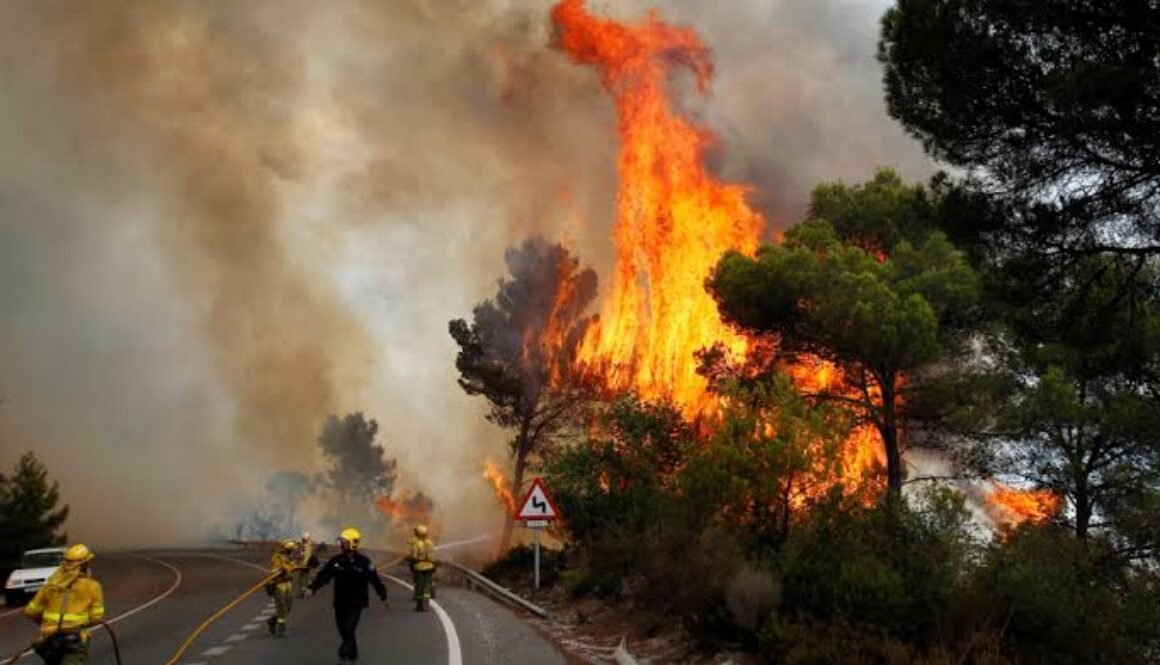 spain forest fire