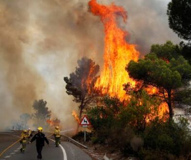 spain forest fire