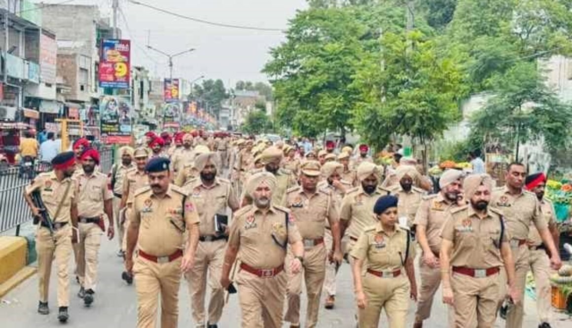 sucurity in punjab