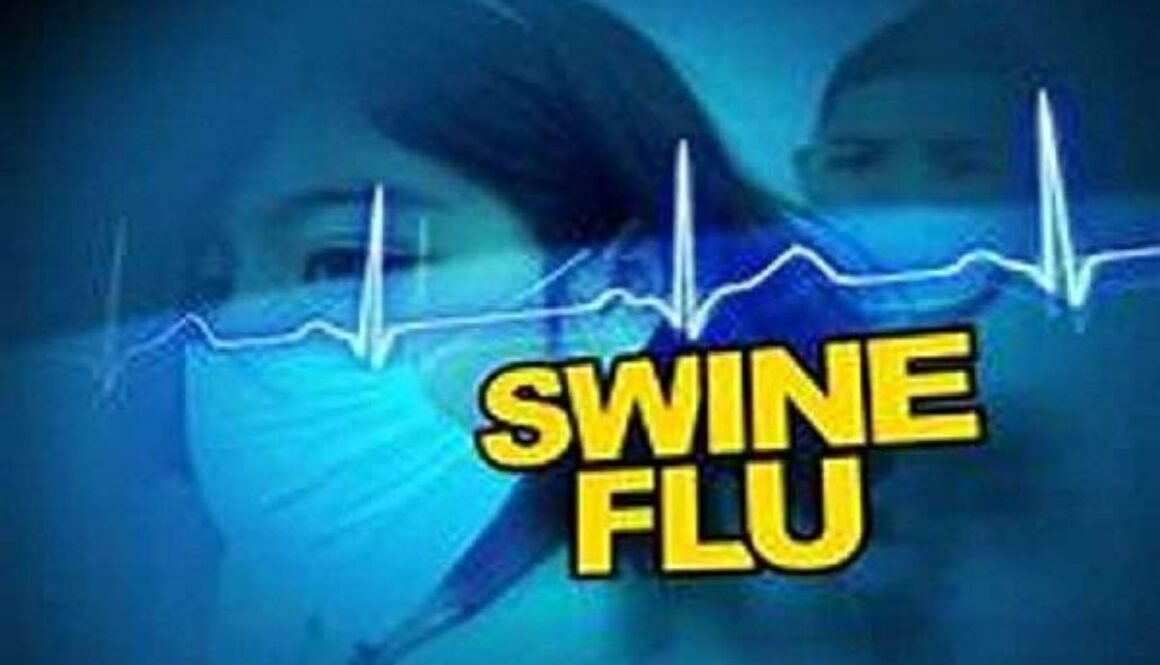 swine flue