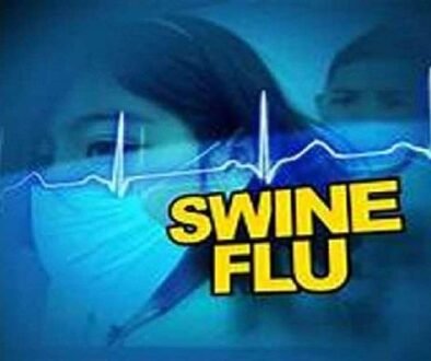 swine flue