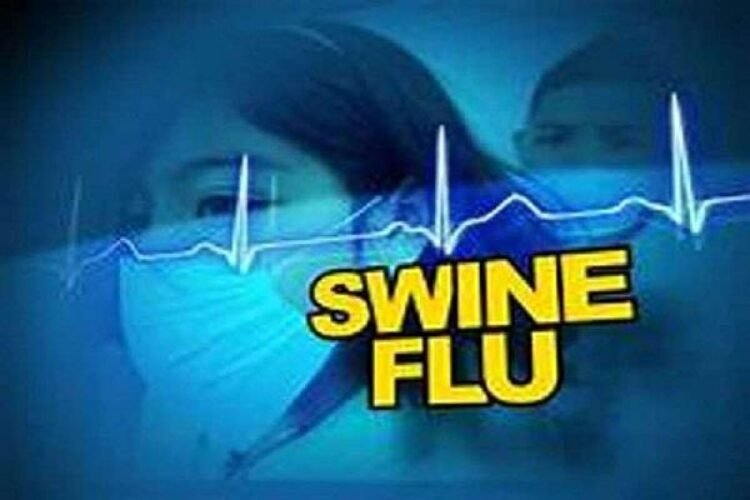 swine flue
