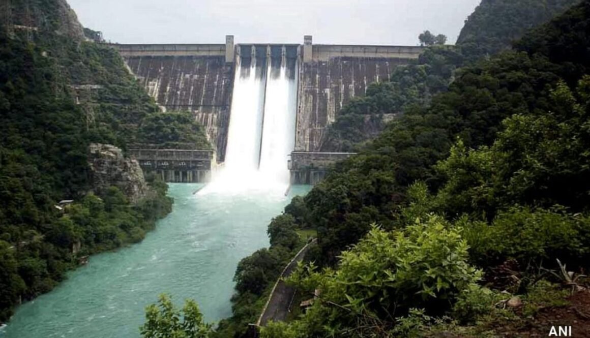 bhakhra dam