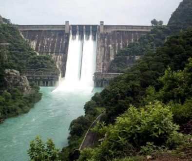 bhakhra dam