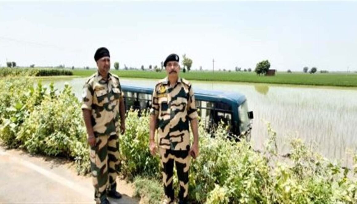 bsf bus