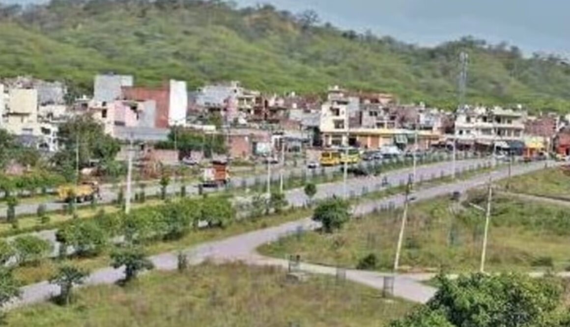 chandigarh village copy