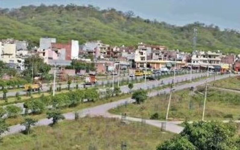 chandigarh village copy