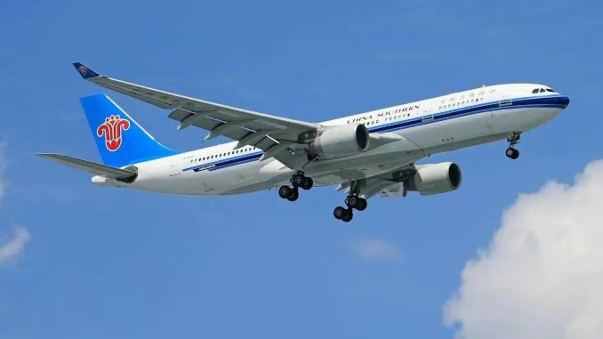 Typhoon Dolphin wreaks havoc in China! More than 1,300 flights canceled in Shanghai, people evacuated