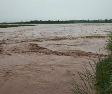 flood river