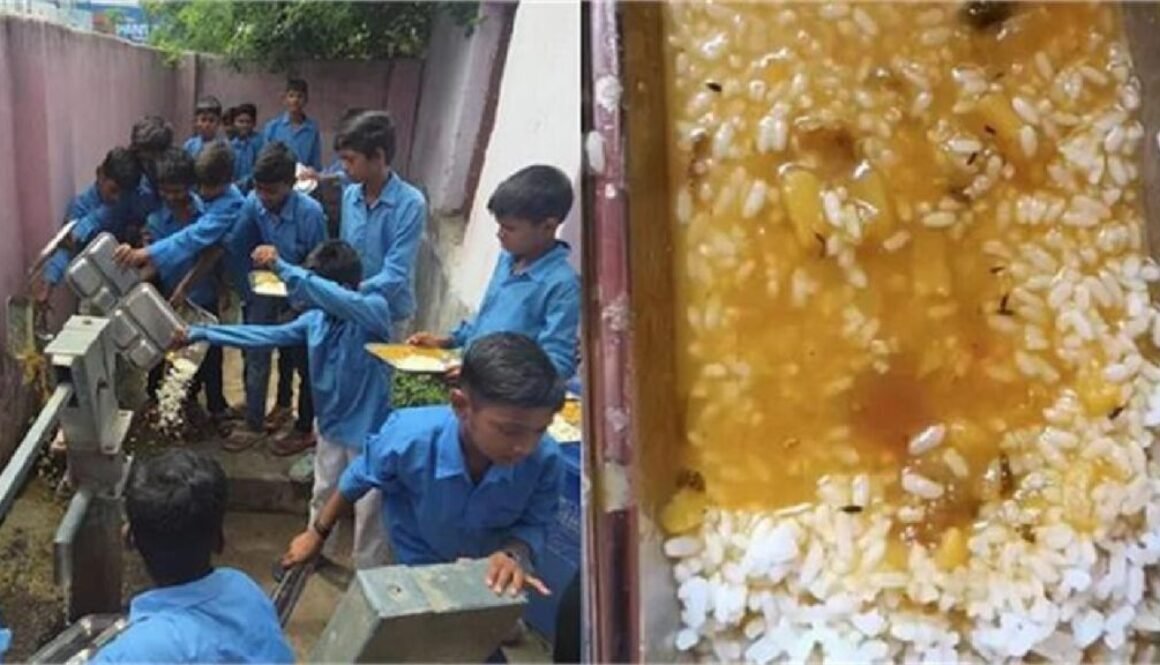mid day meal