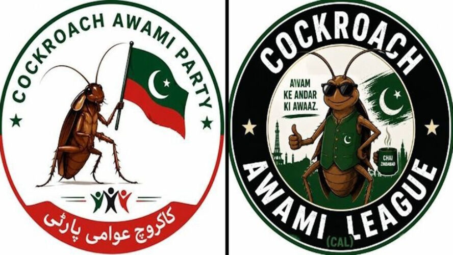 pakistan cockroach party copy