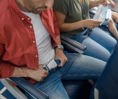 plane seat belt
