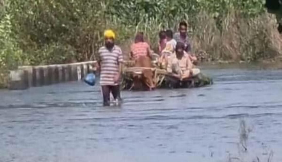 punjab rain
