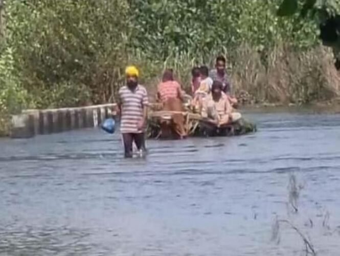 punjab rain