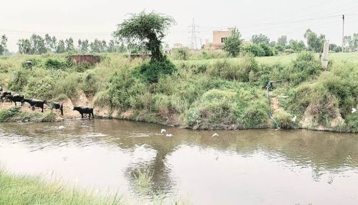 river punjab