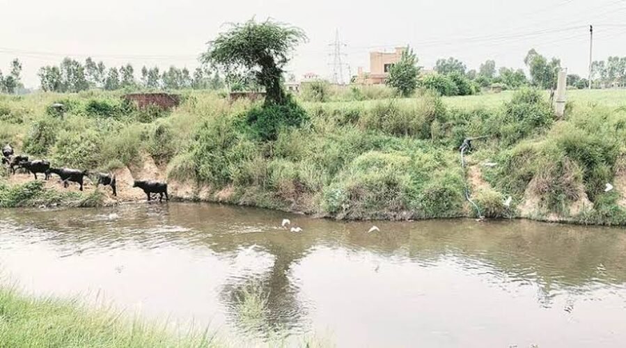 river punjab