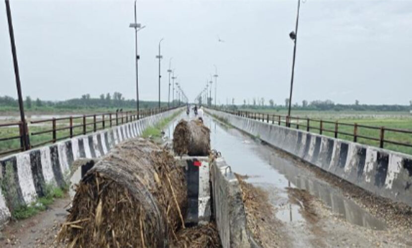 satluj river copy