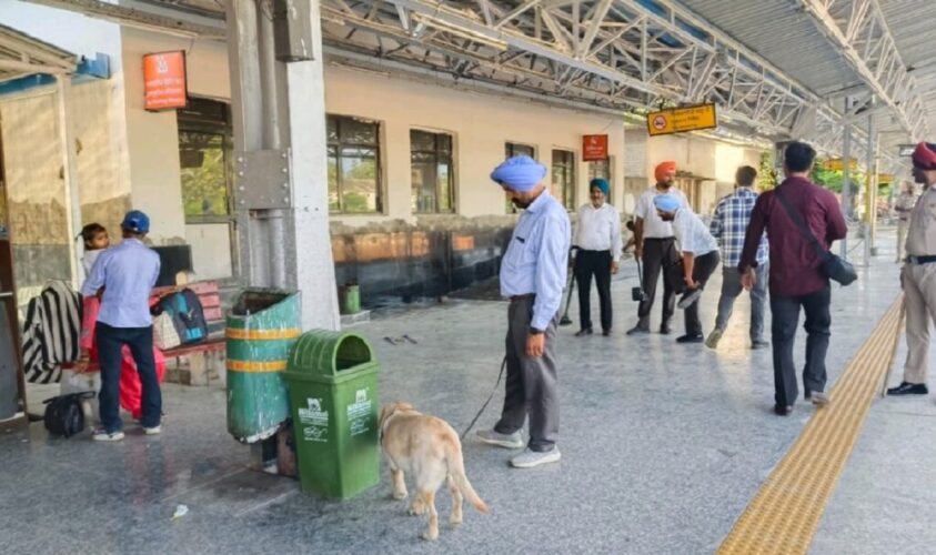 search punjab police
