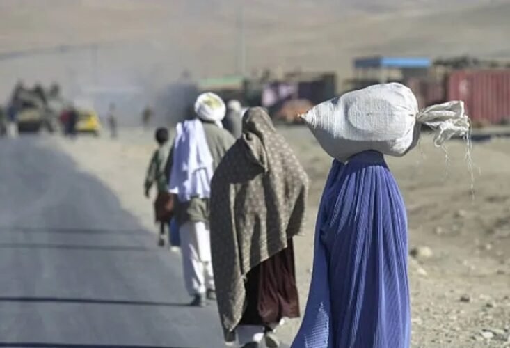 afghan deport