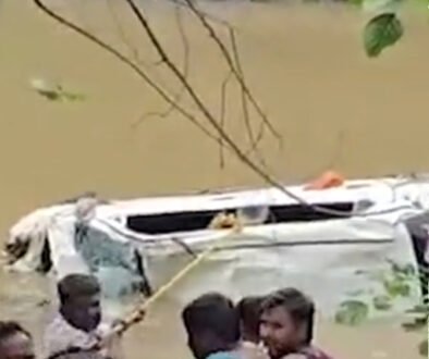 barlamukhi