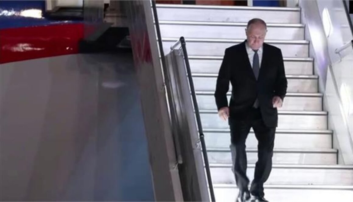 bricks putin