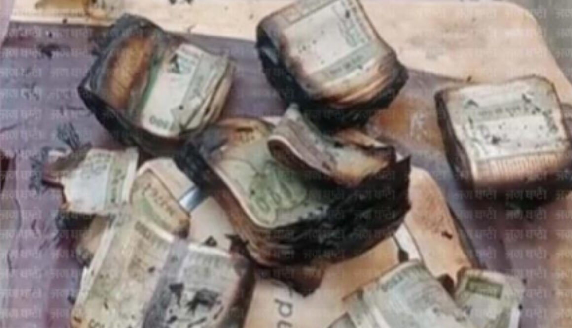 cash burn copy