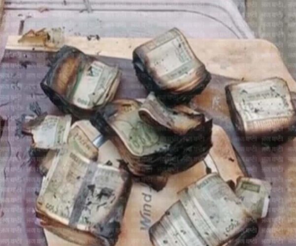 cash burn copy