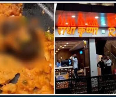 dosa rat
