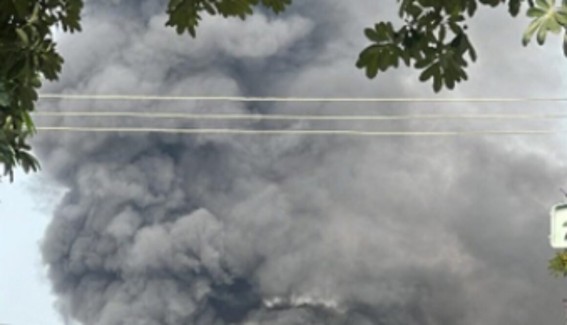 fire jalandhar copy