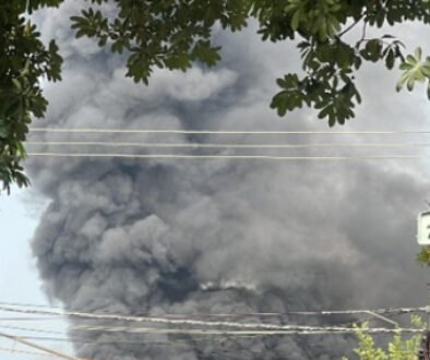 fire jalandhar copy
