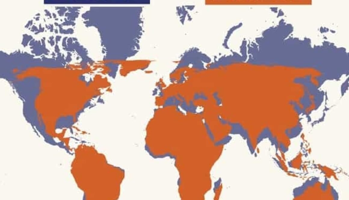 new world map
